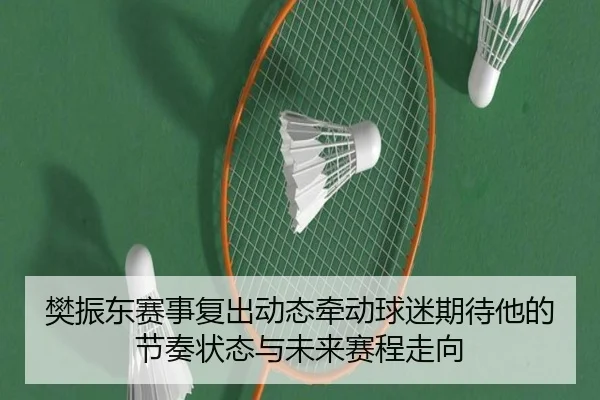 樊振东赛事复出动态牵动球迷期待他的节奏状态与未来赛程走向